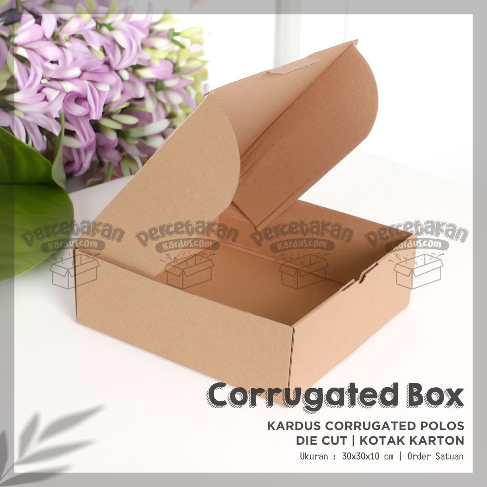 Box corrugated 30x30x10 cm