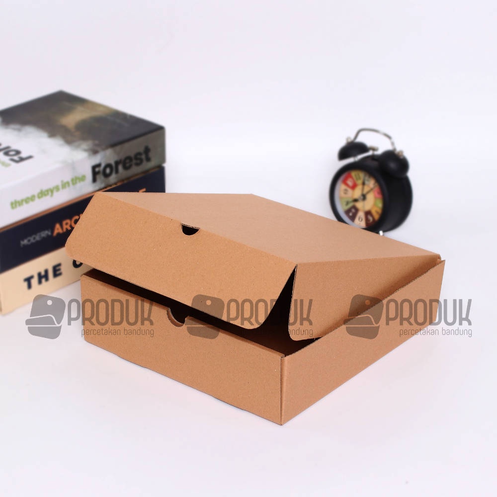 Box corrugated 24x24x7 cm